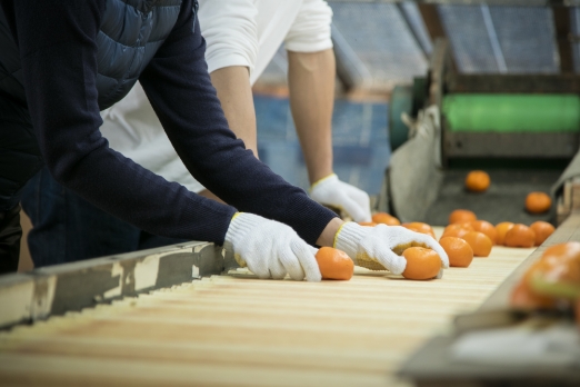 データ照会∕出⼒機能イメージ